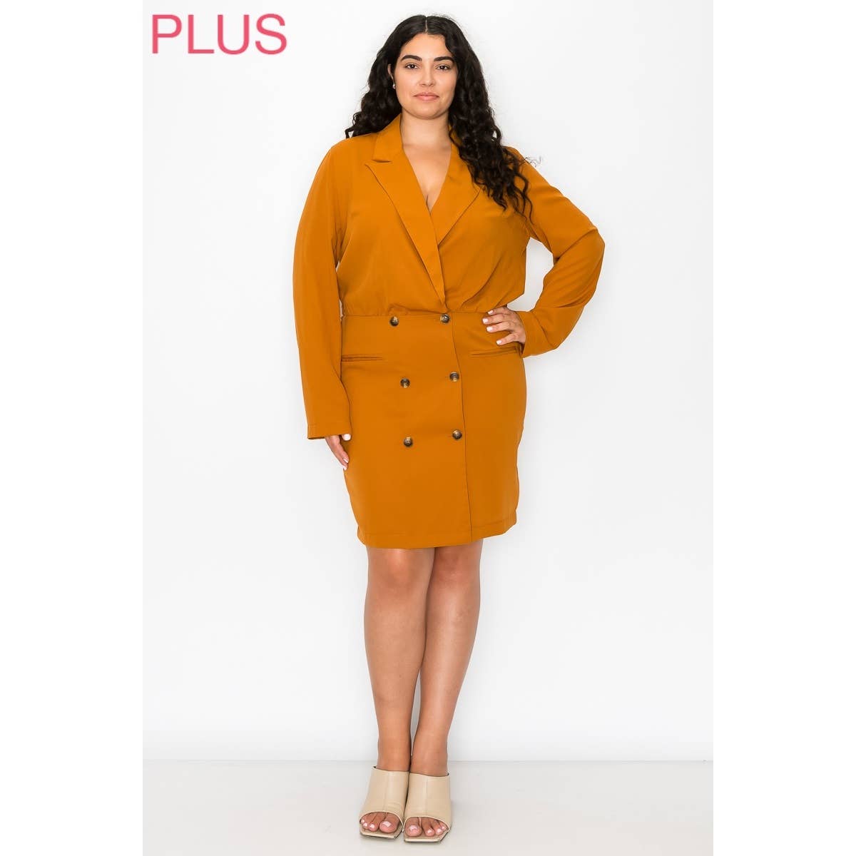 Double Breasted Lapel Collar Dress