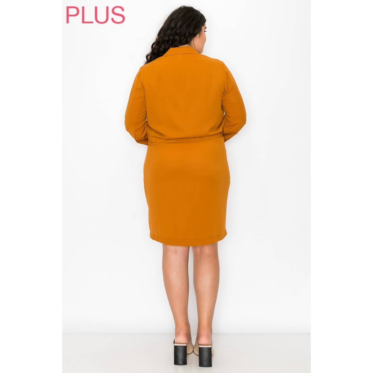 Double Breasted Lapel Collar Dress